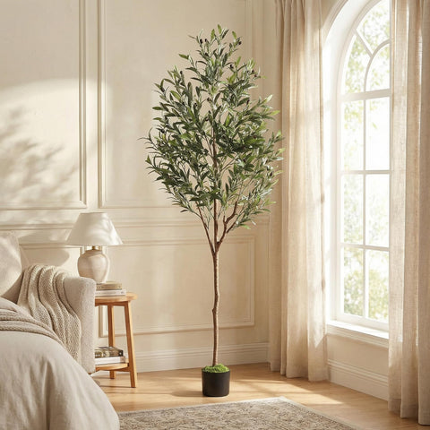 Alupssuc olive tree assembly is quick and easy