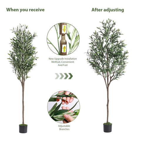 Alupssuc olive tree design fits versatile living spaces