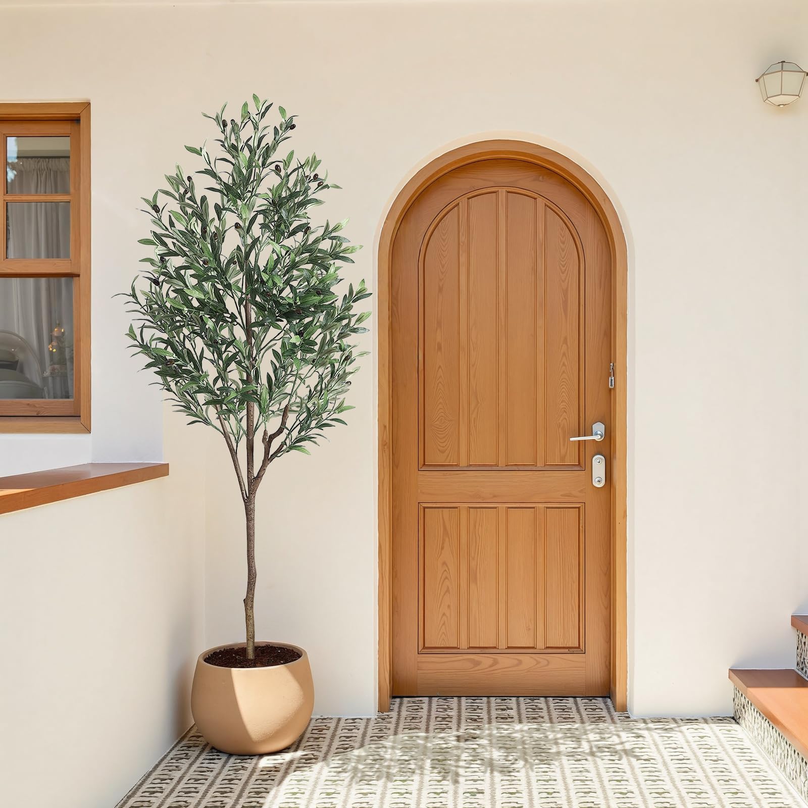 Alupssuc olive tree in a modern living room setting