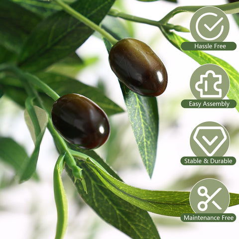 Alupssuc olive tree in white planter for a modern look