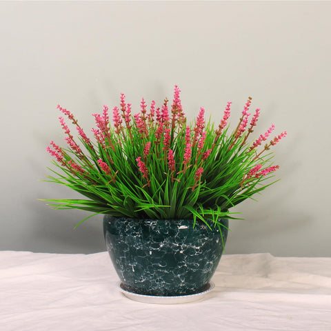 UV-resistant Alyptus greenery thriving in a sunny patio setting