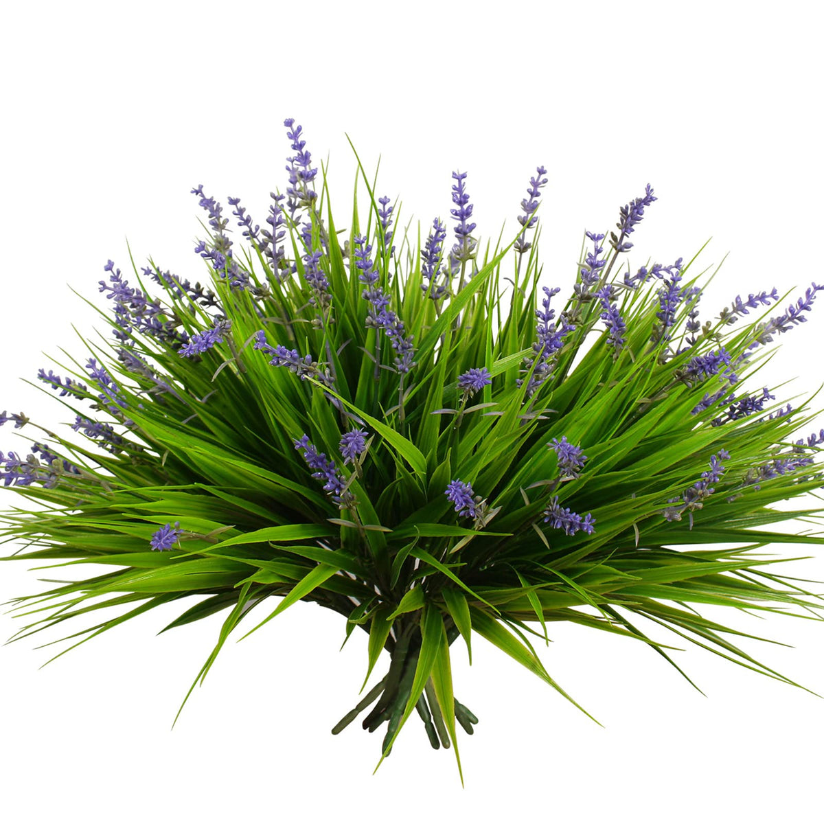 Alyptus 12 bundles of monkey grass with flowers for vibrant, low-maintenance pots.