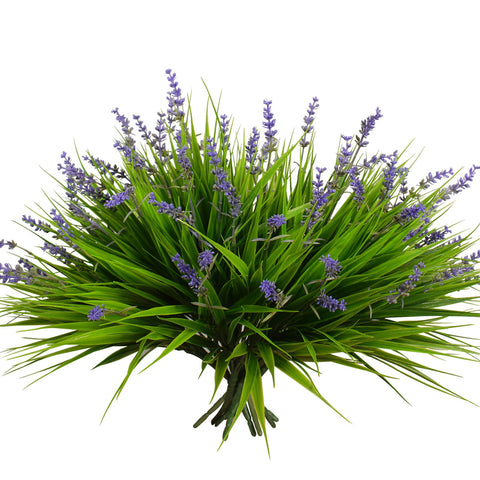Alyptus 12 bundles of monkey grass with flowers for vibrant, low-maintenance pots.