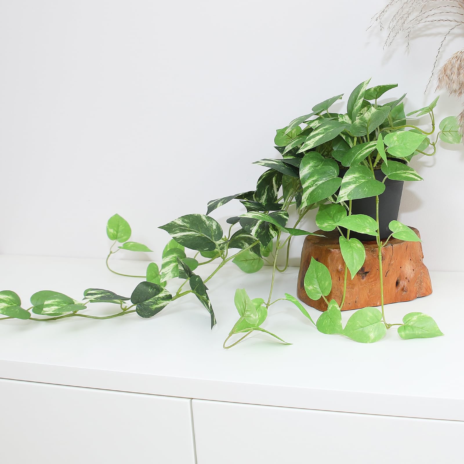 Alyptus 33-inch pothos vines decorate shelves with minimal maintenance