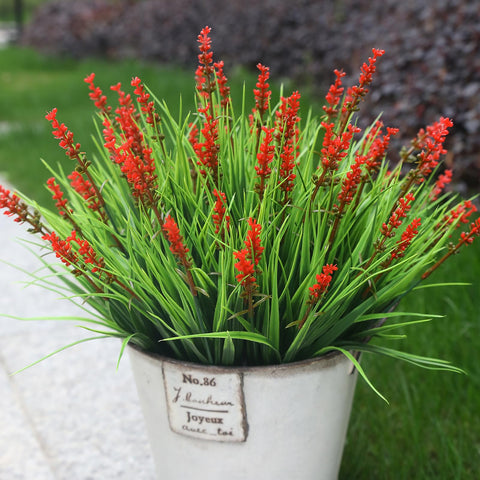Alyptus garden-path display using red bundles for color and texture