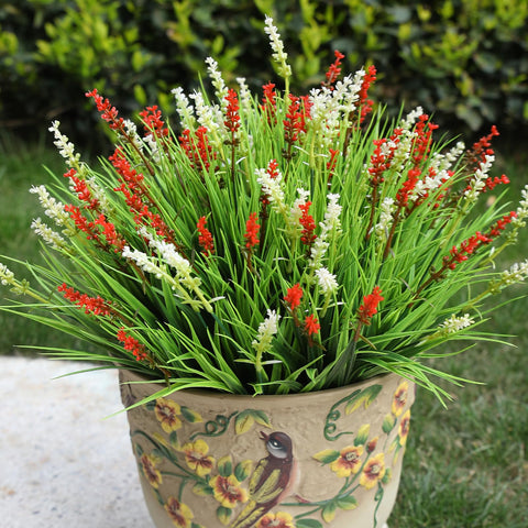 Alyptus porch display remains vibrant with no watering needed