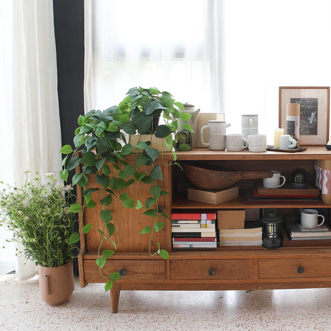 UV-resistant material ensures lasting color of ivy indoors.