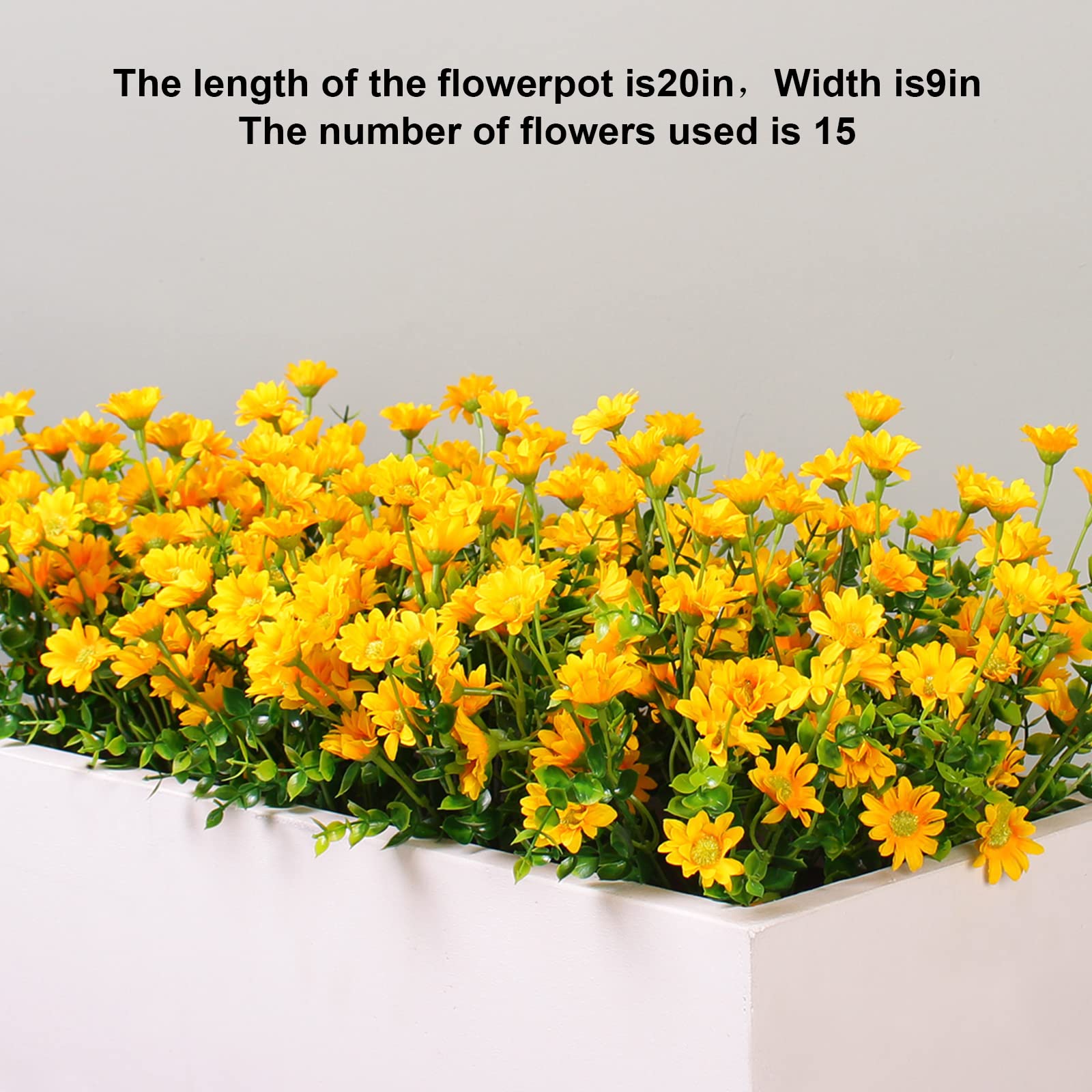 Alyptus yellow blooms showing double-layer petals detail
