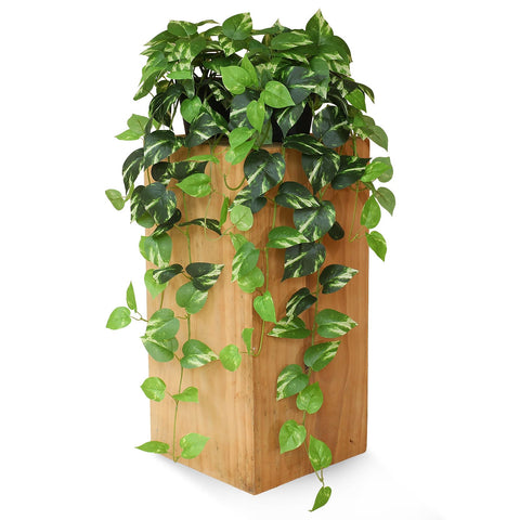 Alyptus silk leaves pothos close-up showing realistic texture and color