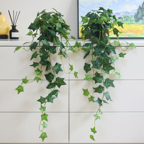 Alyptus gift-ready artificial ivy set suitable for housewarmings