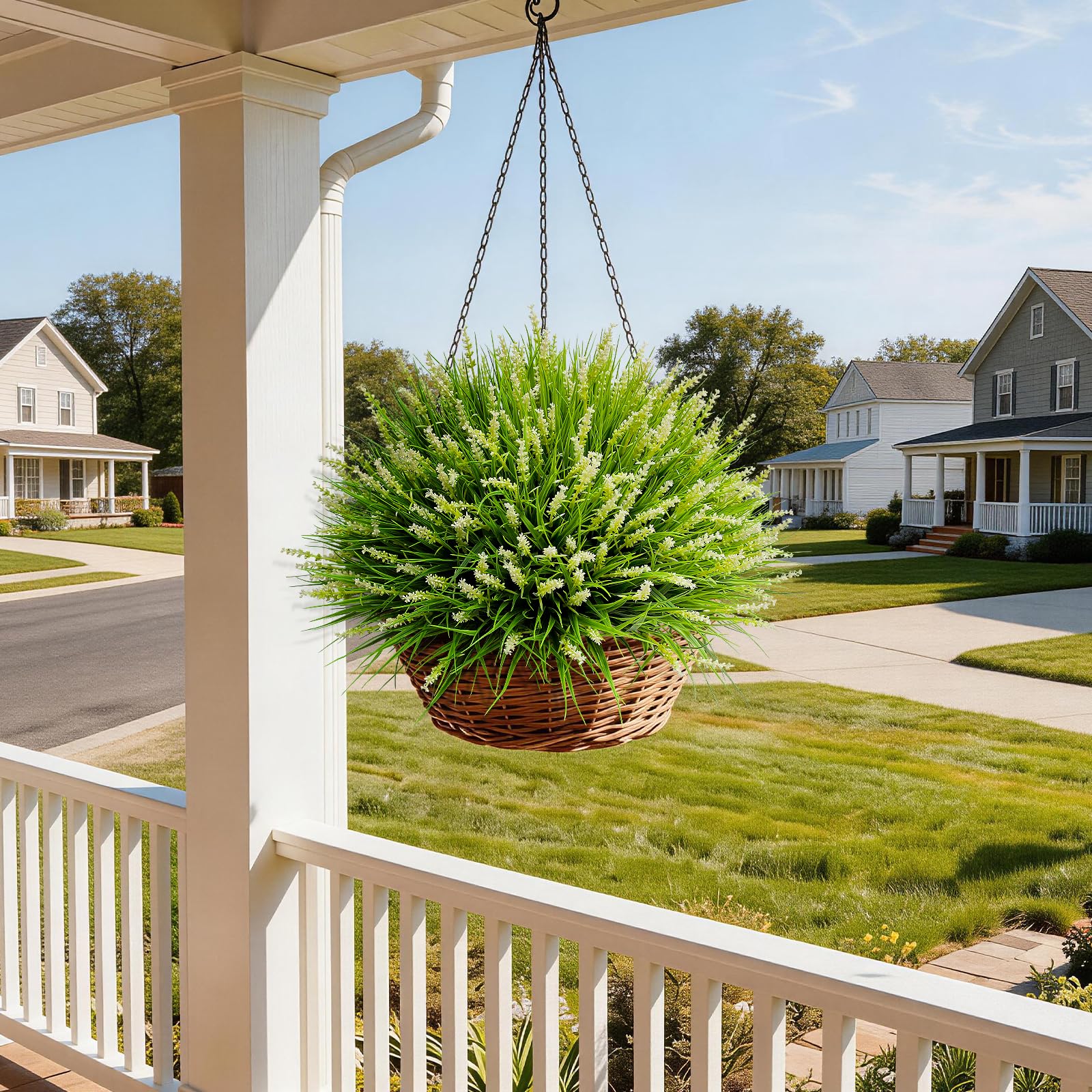 Alyptus versatile indoor/outdoor decor for patios, balconies, and events.