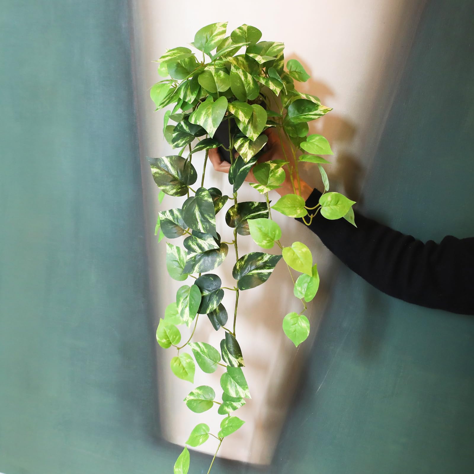 Alyptus lightweight pots simplify repositioning around rooms