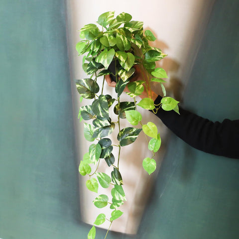 Alyptus lightweight pots simplify repositioning around rooms