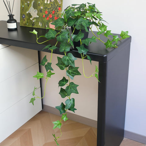 Alyptus ivy displays in durable matte-finish pots on a shelf