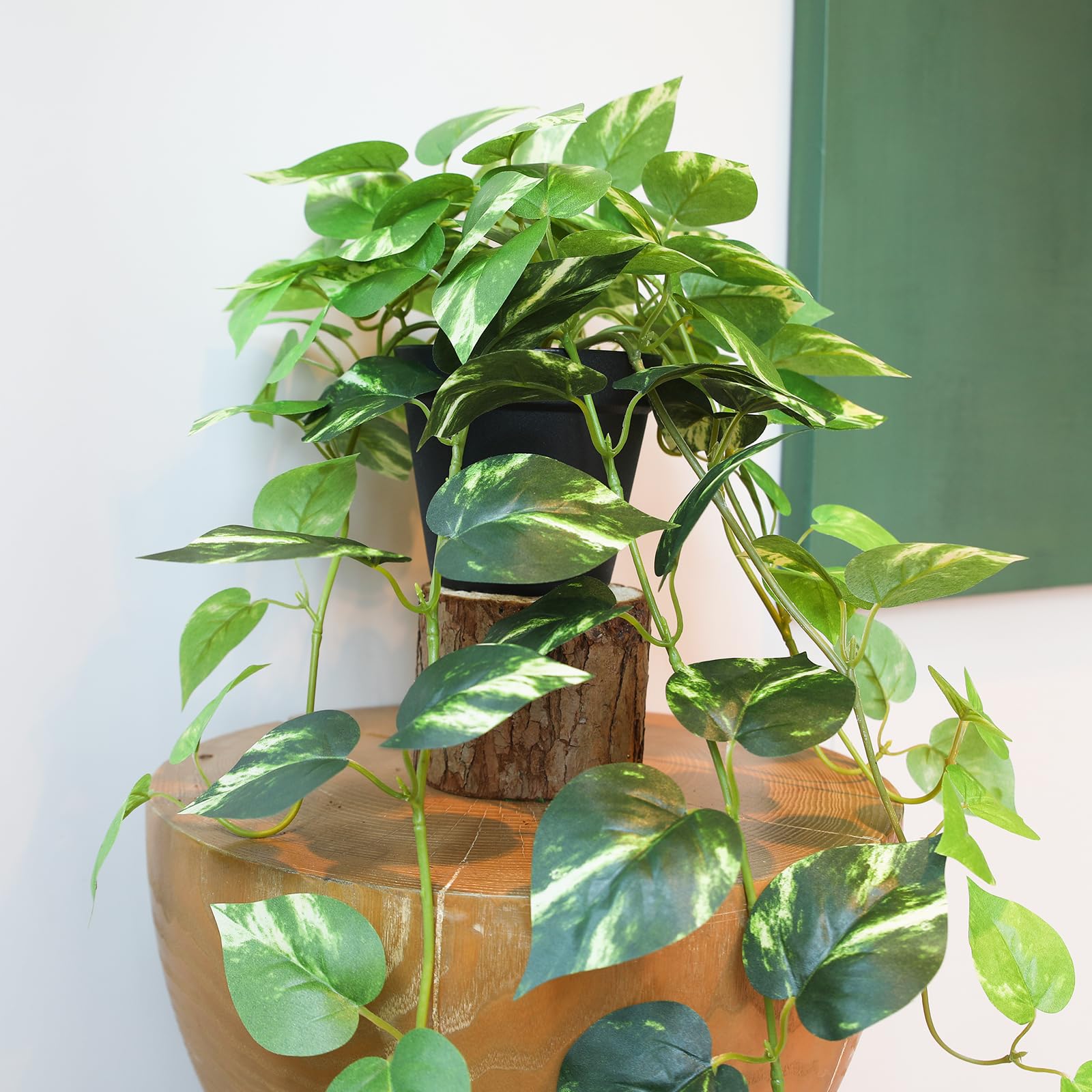 Alyptus no-installation design makes decorating quick