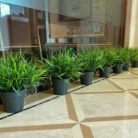 Alyptus planter filler 12 bundles for DIY landscaping.