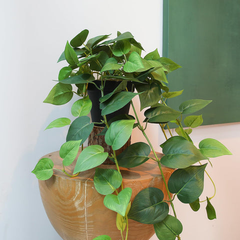 Realistic pothos accents stay green year-round with minimal care.
