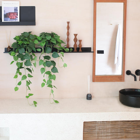 Low-maintenance design eliminates watering, trimming, and sunlight needs.