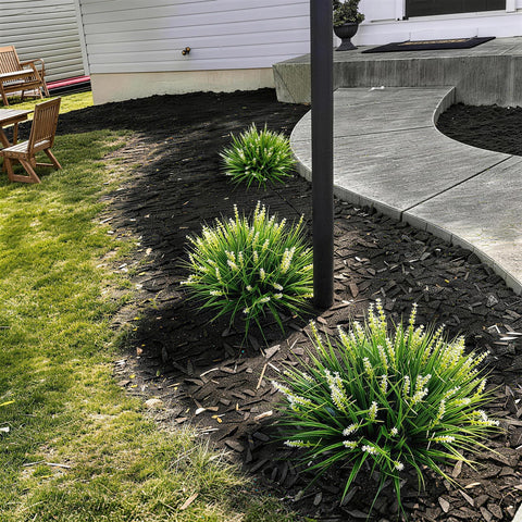 Alyptus 12-bundle set fills large planters with lush volume.