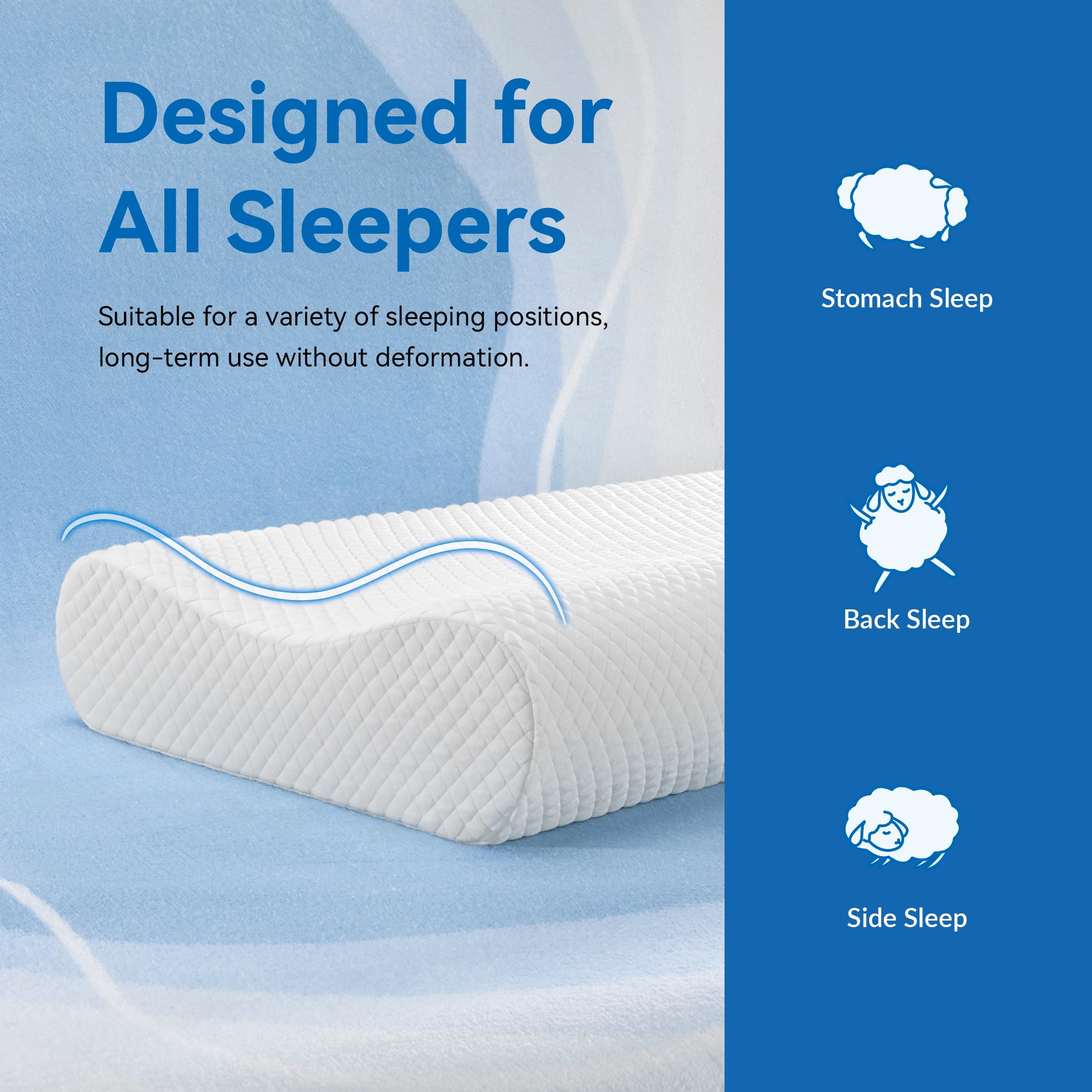AM AEROMAX removable outer and inner covers keep the pillow fresh.