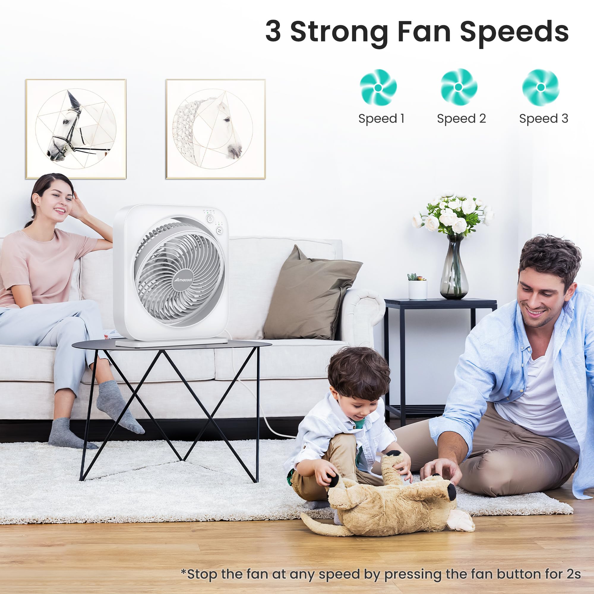 AMACOOL 3-speed controls shown for customizable airflow