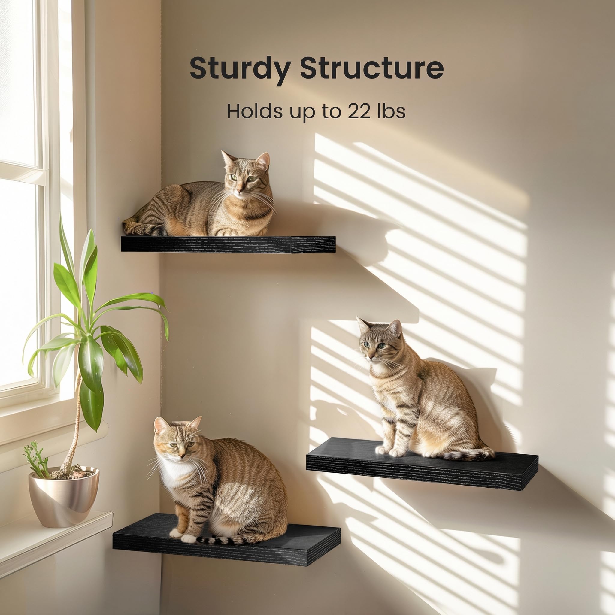 AMADA HOMEFURNISHING floating shelves living room display for art and keepsakes
