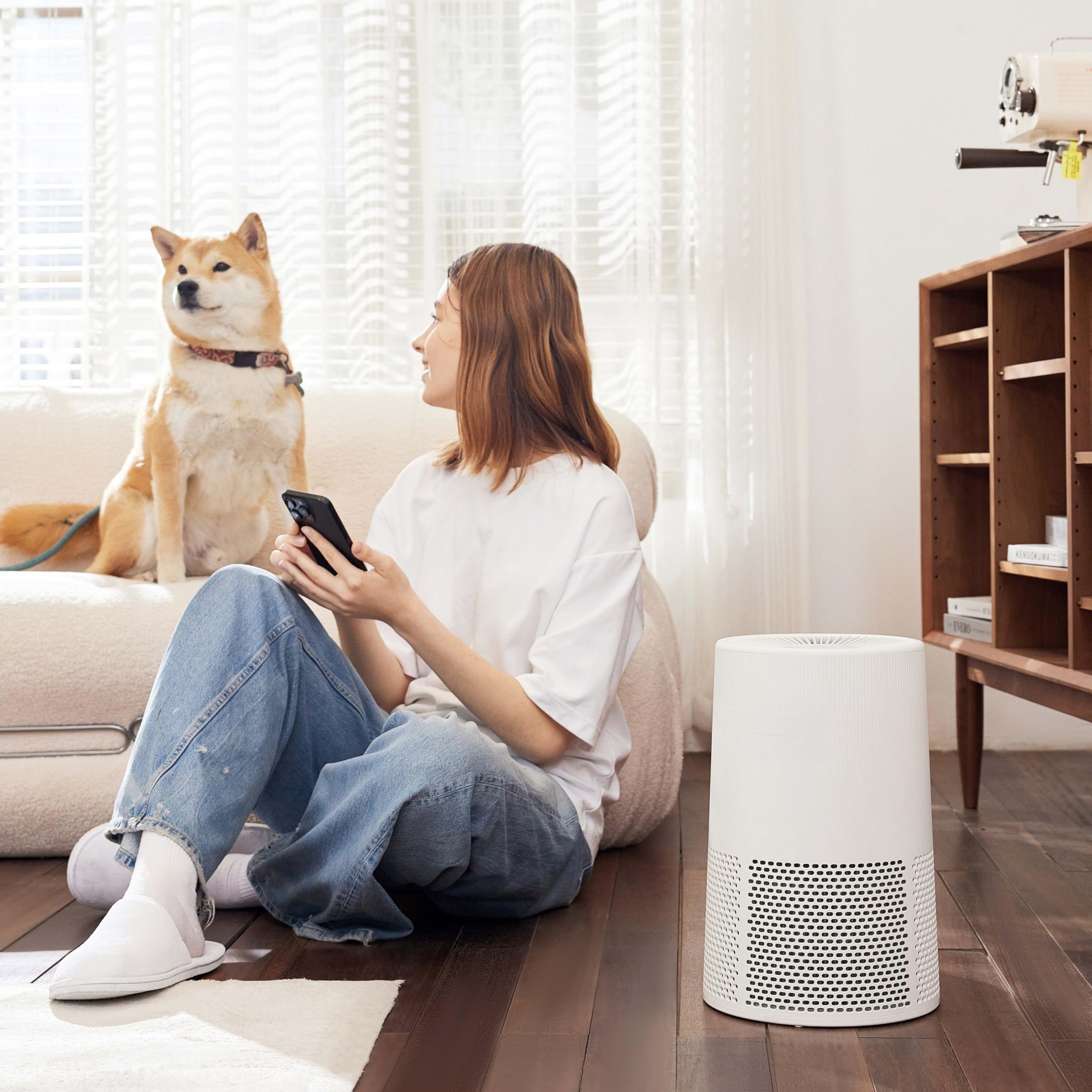 Living room setup with Amazon Basics filter for cleaner air.