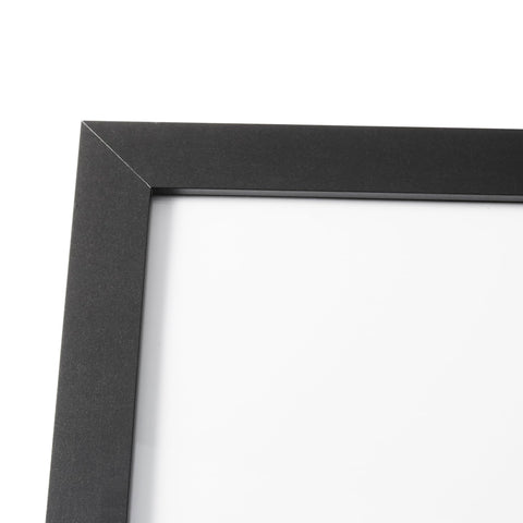 Amazon Basics 20x30 frame ready for vertical or horizontal wall mounting