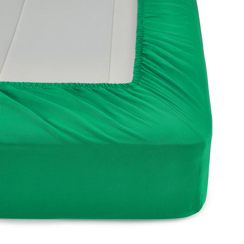Amazon Basics bed-in-a-bag set in green—kid-friendly colors for imaginative bedrooms