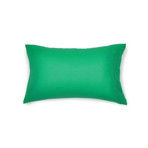 Amazon Basics kid's bed-in-a-bag twin green pillow sham—coordinated look with durable microfiber fabric