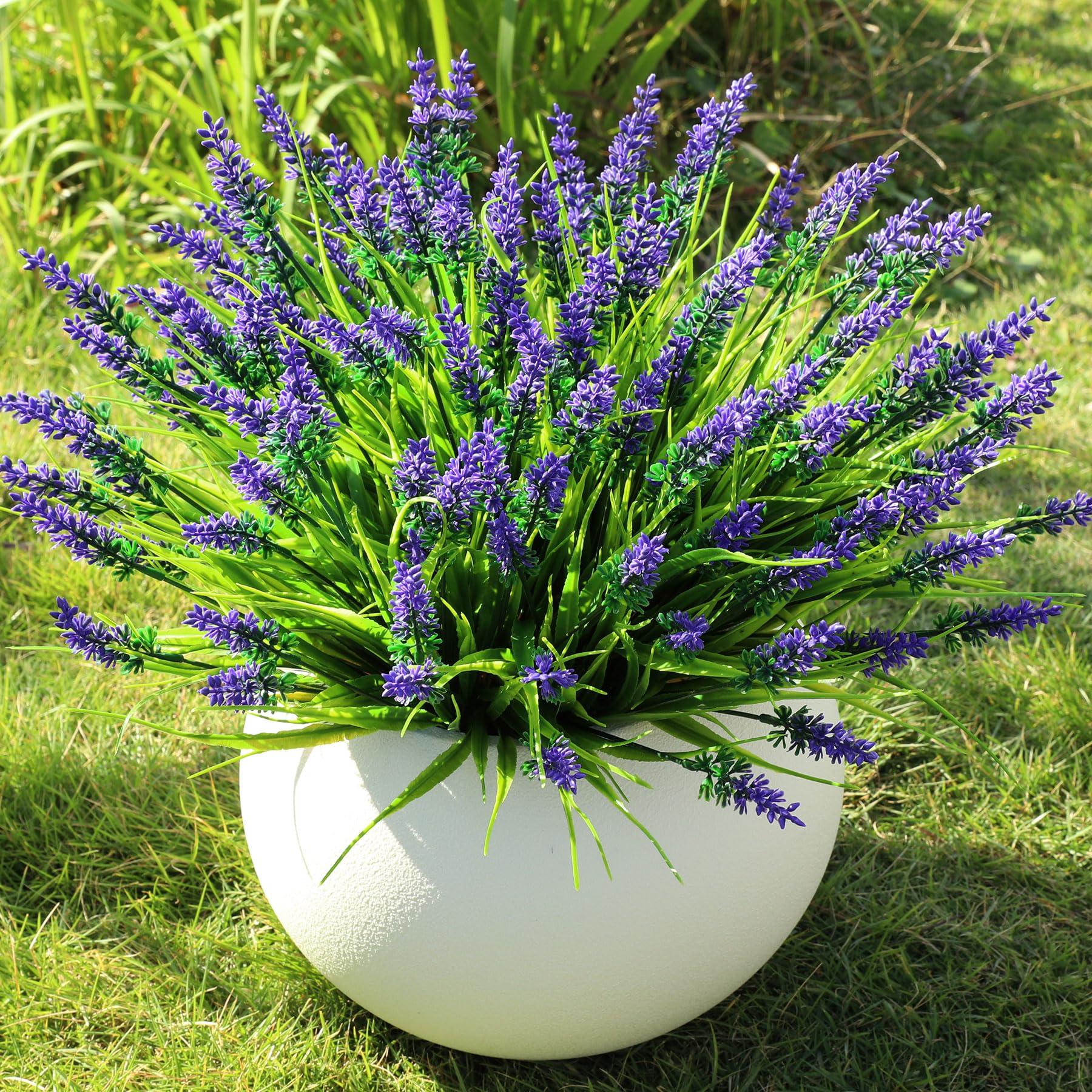 AmberFun dense fullness in planters for natural-looking beds and borders