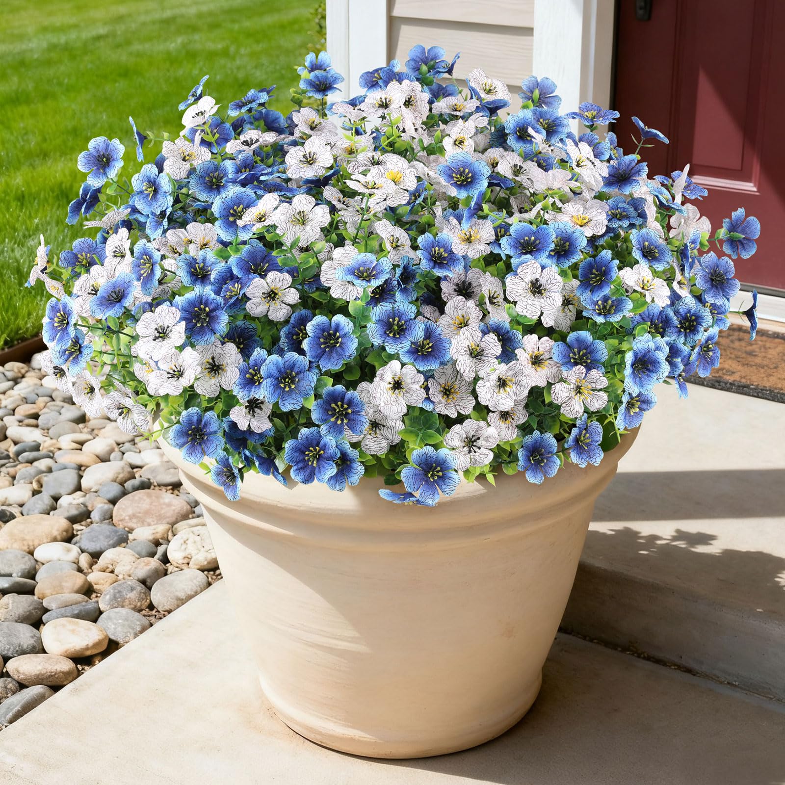 AmberFun perfect for colorful arrangements on porches, patios, or balconies.