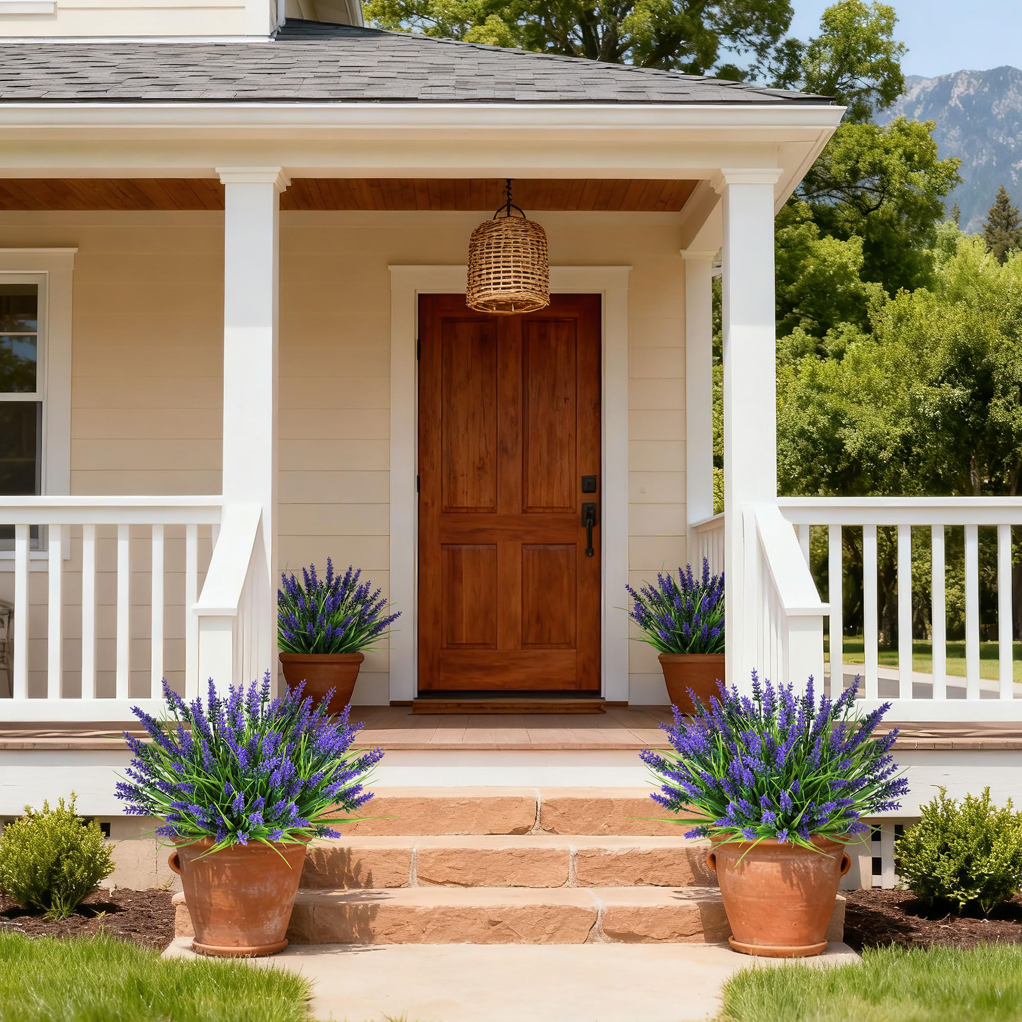 AmberFun UV-resistant lavender and monkey grass retain color in sun