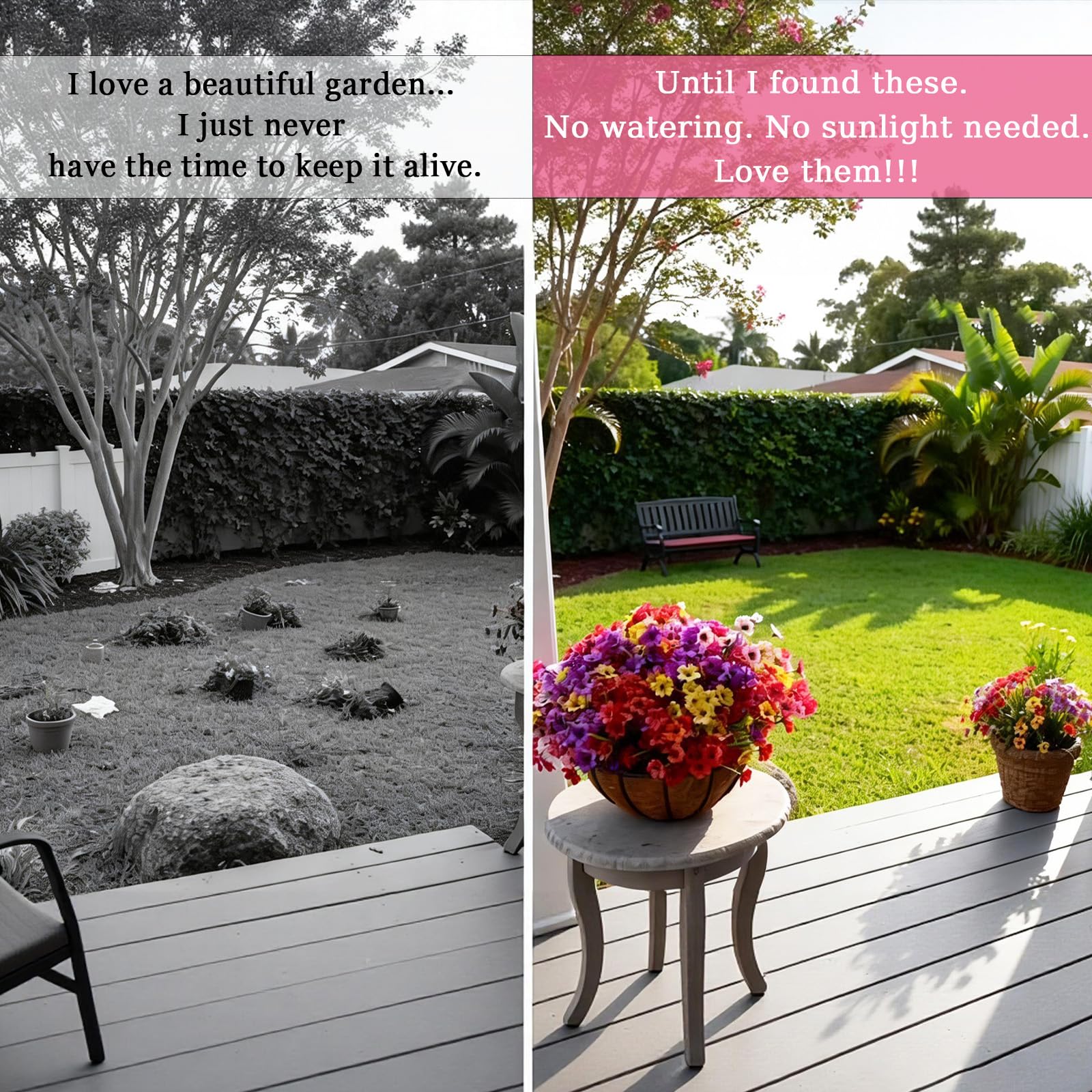 AmberFun zero maintenance flowers for busy homes