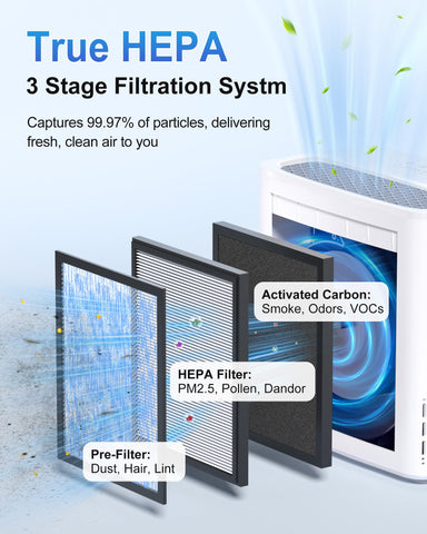 Ambersky air purifier auto-mode display indicates real-time air status for easy control