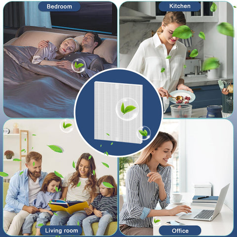 Amboseli C545 compatibility label confirms fit with Winix C545