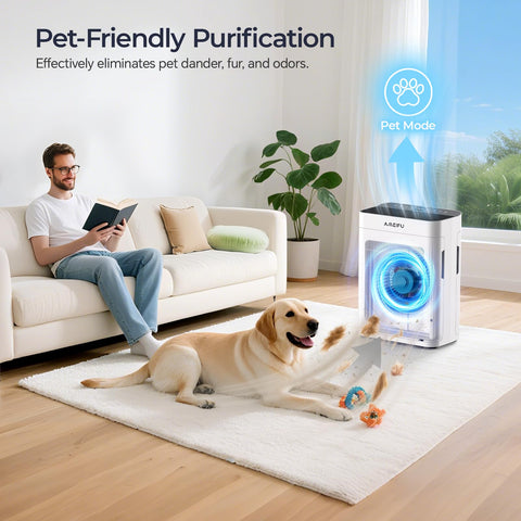 AMEIFU PM2.5 live display shows real-time air quality