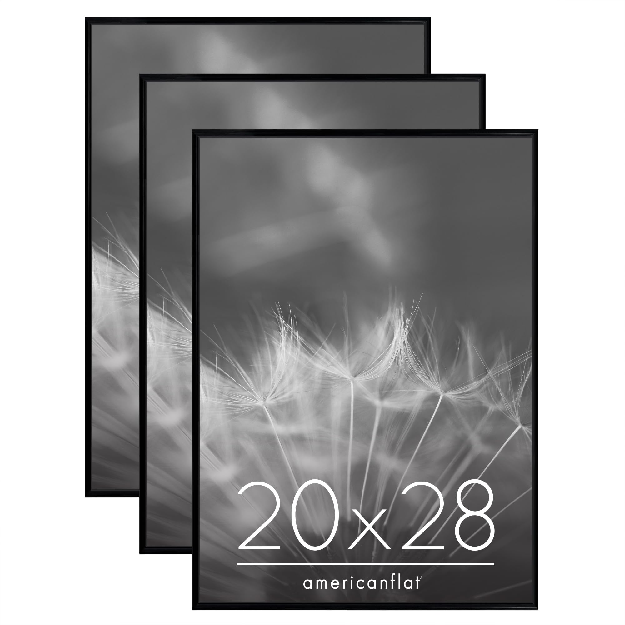 Americanflat 20x28 frame with polished front cover designed for wall display.