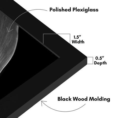 Americanflat 24x30 frame supports vertical or horizontal display for flexible layouts.
