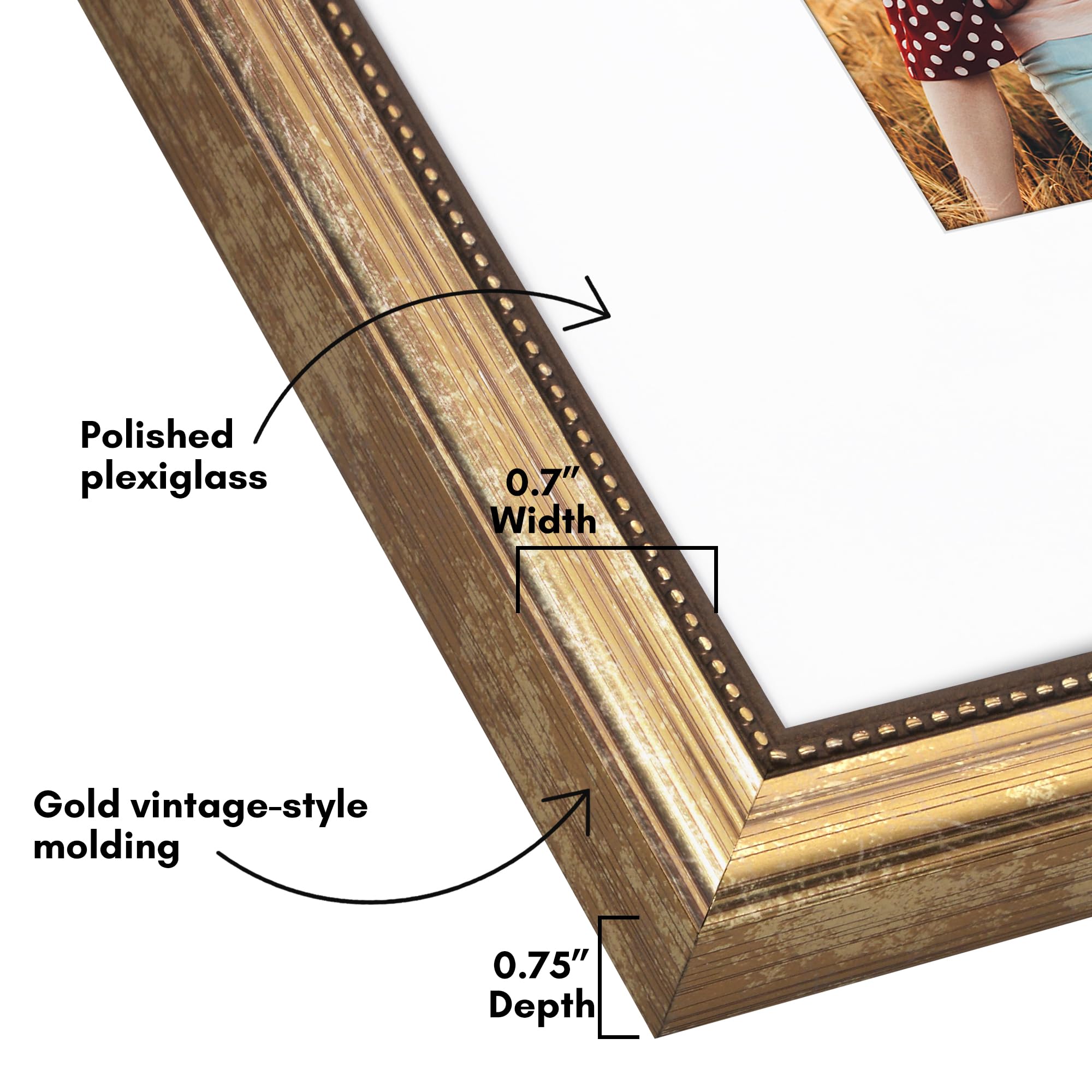 Americanflat antique-style gold molding adds timeless elegance to any room