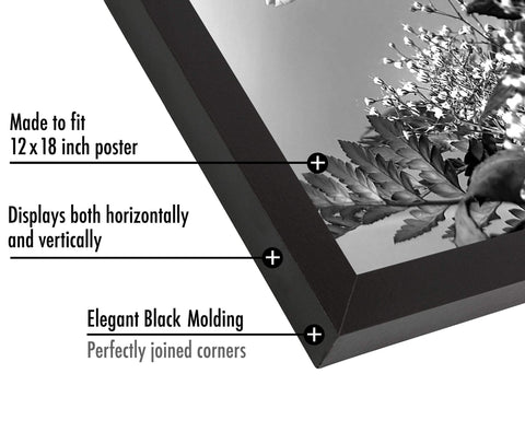Black Americanflat frame with hanging hardware for vertical or horizontal mounting.