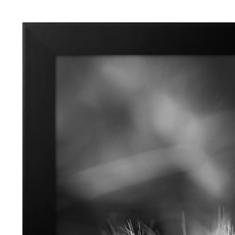 Americanflat gallery-style black frame elevates decor with timeless elegance.