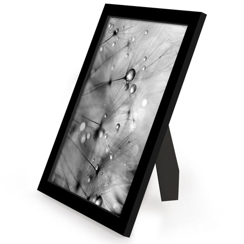 Americanflat photo-display collection for cohesive wall galleries