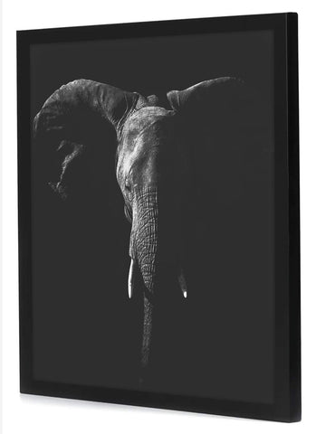 Americanflat plexiglass protection guards against dust and scratches on kept memories.