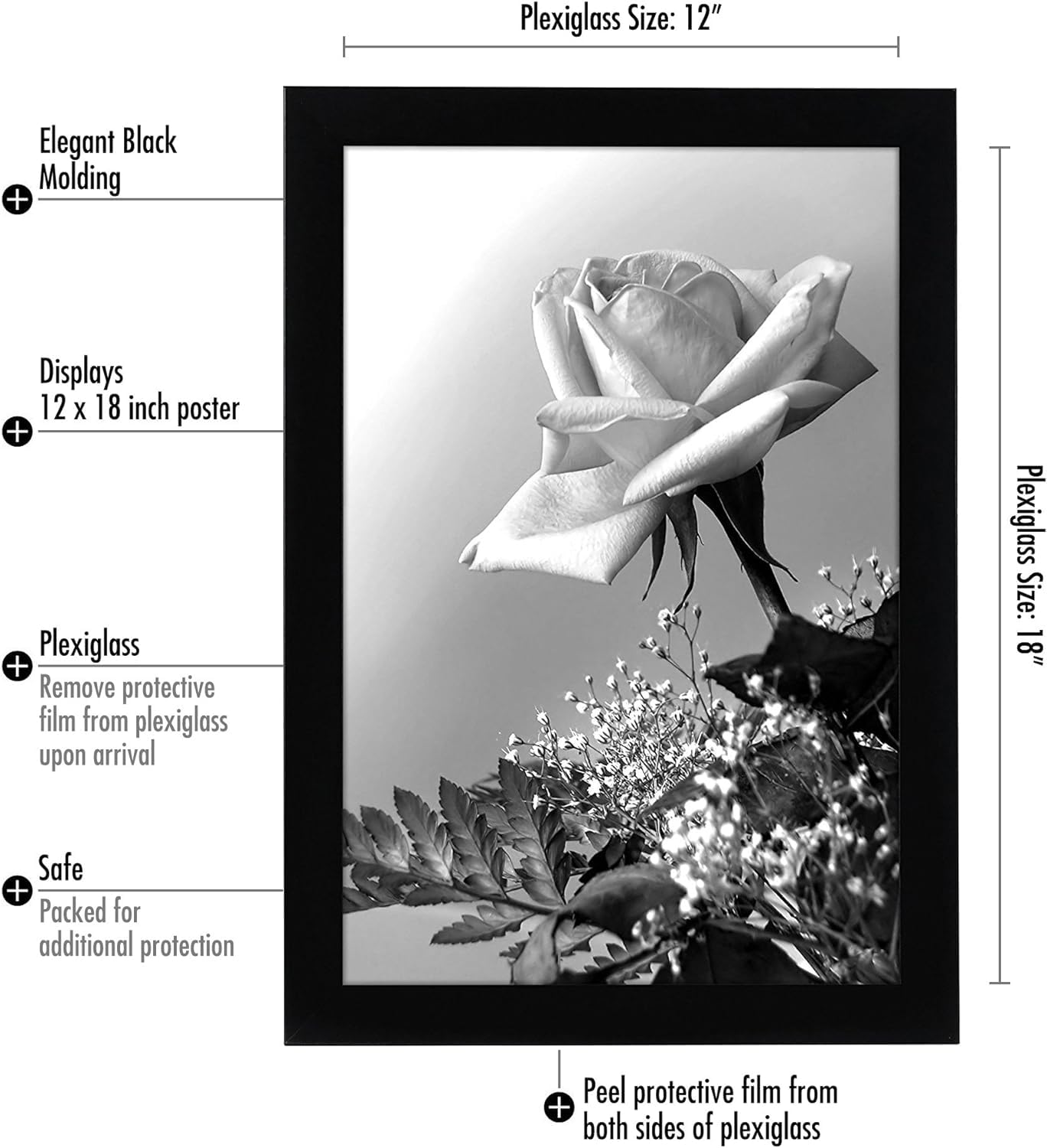 Polished plexiglass front by Americanflat provides crystal-clear photo viewing.