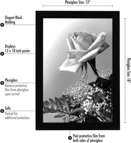 Polished plexiglass front by Americanflat provides crystal-clear photo viewing.