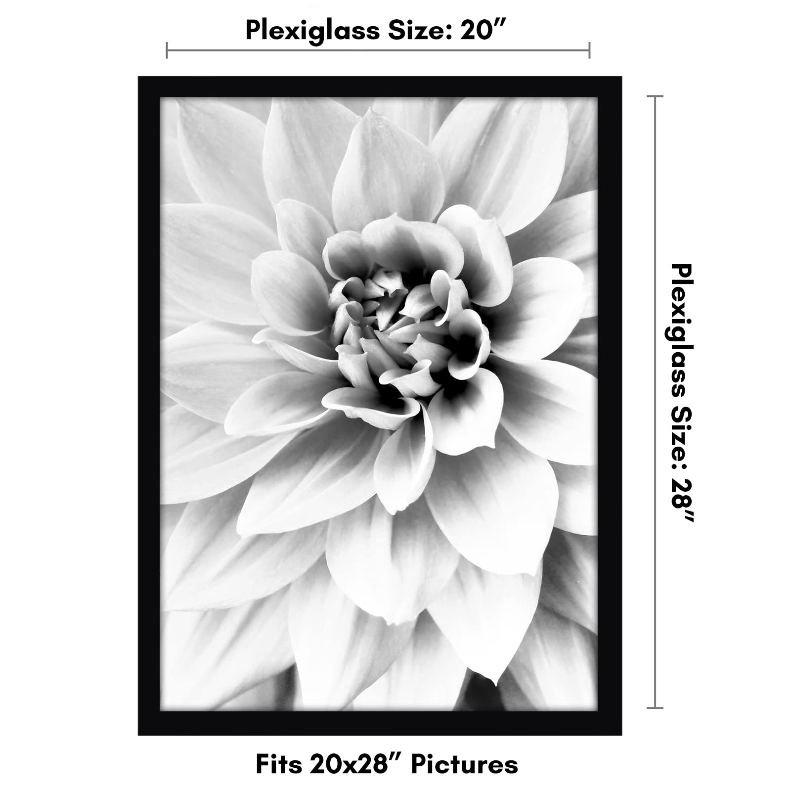Polished plexiglass front for crystal-clear viewing.