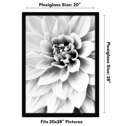 Polished plexiglass front for crystal-clear viewing.
