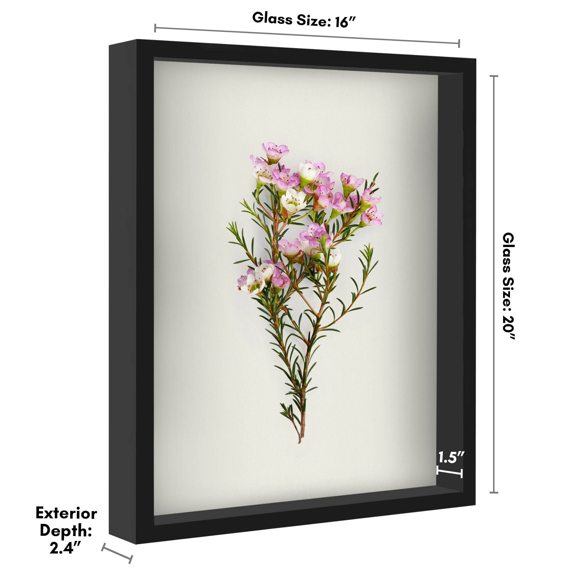 Americanflat shadowbox with polished plexiglass front offers crystal-clear visibility for memories.
