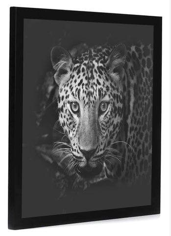 Americanflat square frame with black finish elevates photos and art on any wall.
